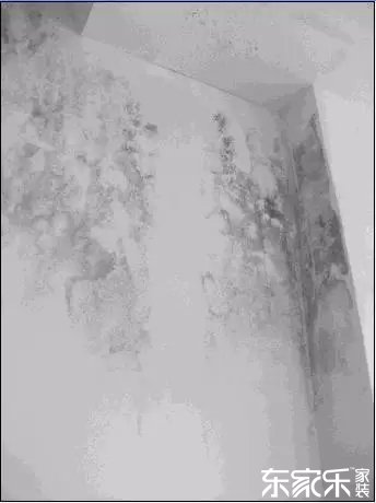 墻面發(fā)霉發(fā)黑怎么辦？墻面已經(jīng)出現(xiàn)霉斑時(shí)怎么做？