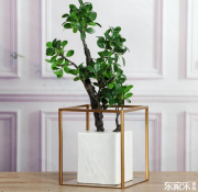 室內(nèi)裝修有哪些裝修風(fēng)格？簡述各類裝修風(fēng)格優(yōu)缺點